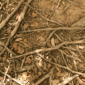 Suona Come Mangi - Luciano Zampar