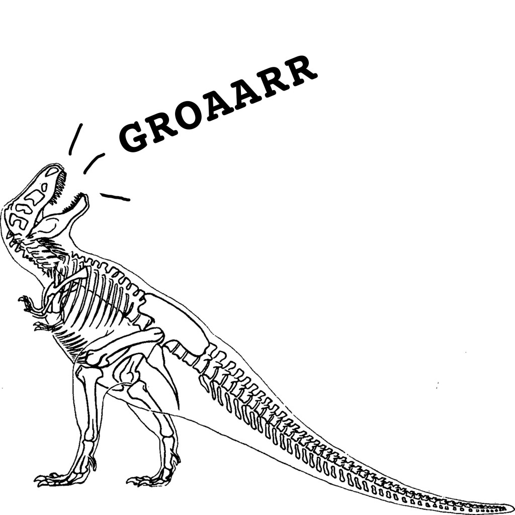 Museum Transmissions